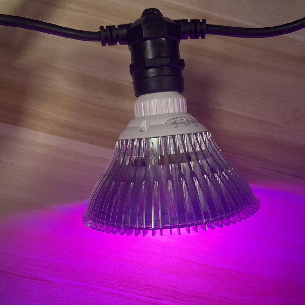 10M Cable LED String Commercia - Outdoor Lighting Nearby review and price