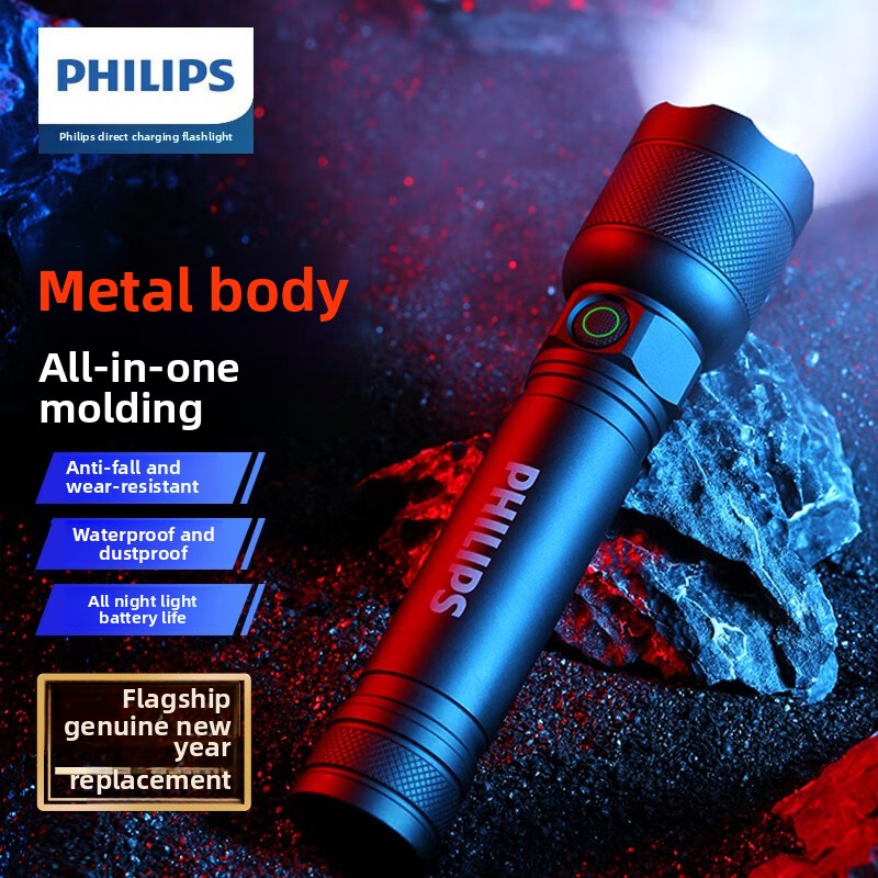 2025 NEW Philips SFL2188 LED A - Outdoor Lighting Nearby review and price