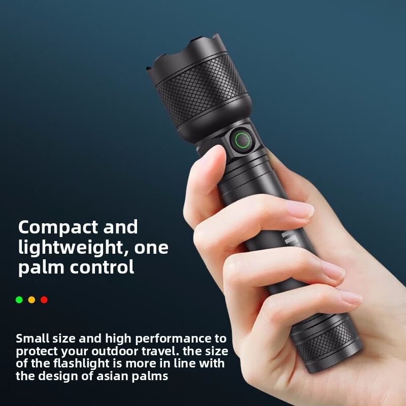 2025 NEW Philips SFL2188 LED A - Outdoor Lighting Nearby review and price